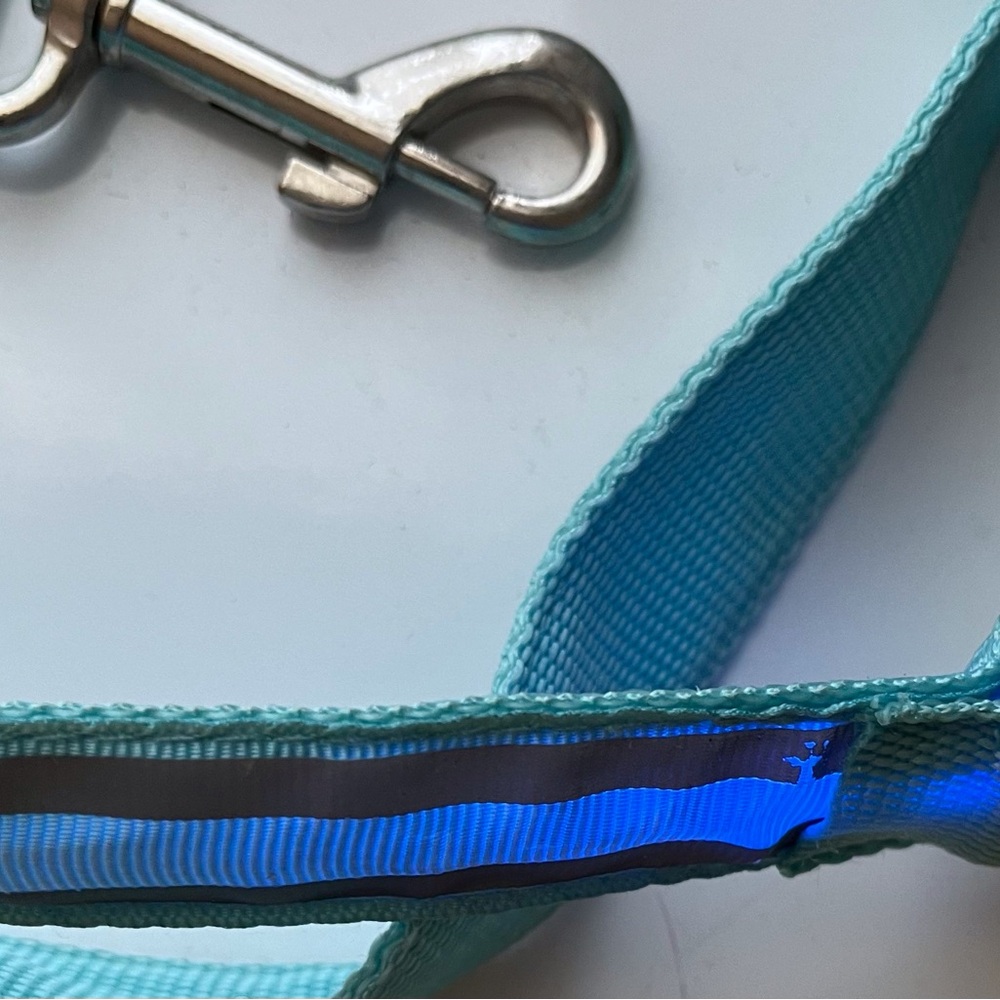 Light Up Leash Reflective Light Blue and Button for Light Three Modes Not Used